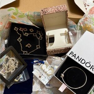 Jewelry lots with a Pandora charm bracelet